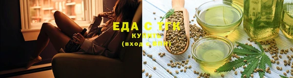 тгк Богданович