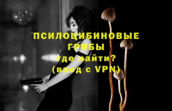 метадон Богородицк