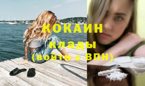тгк Богданович