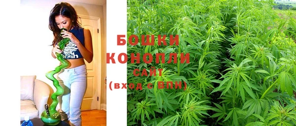 тгк Богданович
